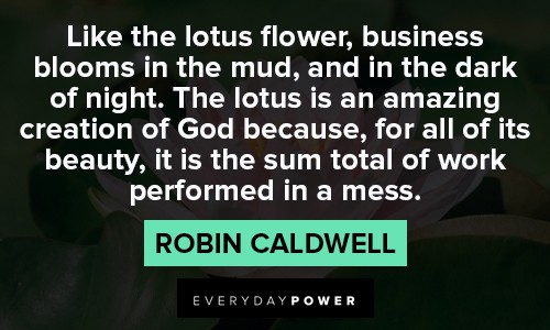 lotus flower quotes for all of its beauty