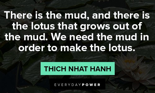 lotus flower quotes about there is the mud, and there is the lotus that grows out of the mud