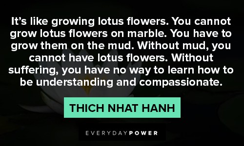 lotus flower quotes about understanding and compassionate