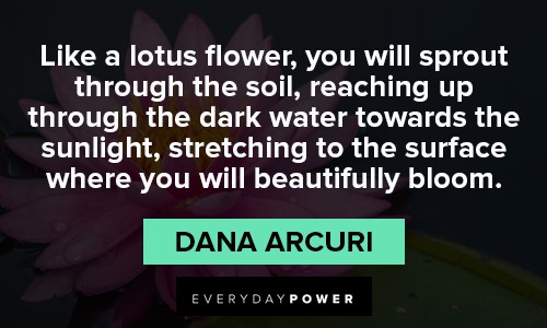lotus flower quotes about reaching up through the dark water