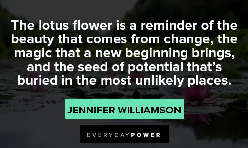 lotus flower quotes about the most unlikely places