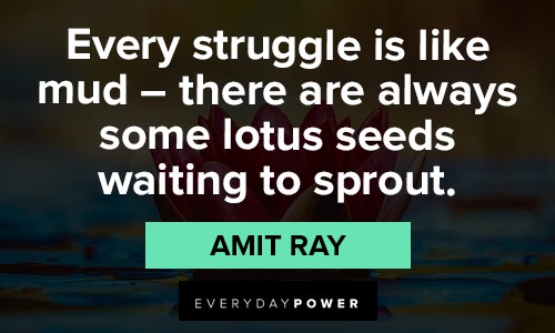 lotus flower quotes about struggling 
