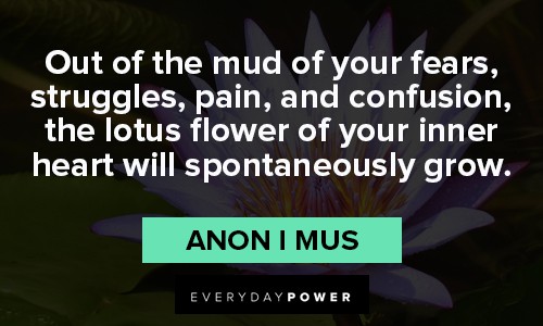 lotus flower quotes about struggles, pain and confusion
