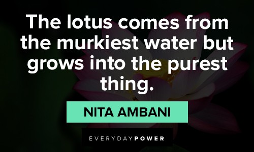 lotus flower quotes from the murkiest water
