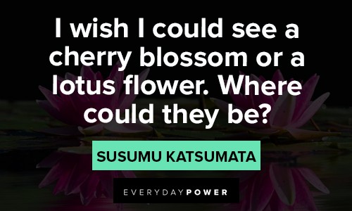 lotus flower quotes about cherry blossom