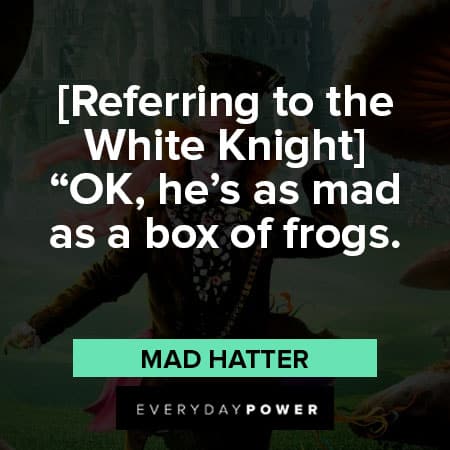 Mad Hatter quotes to the white knight