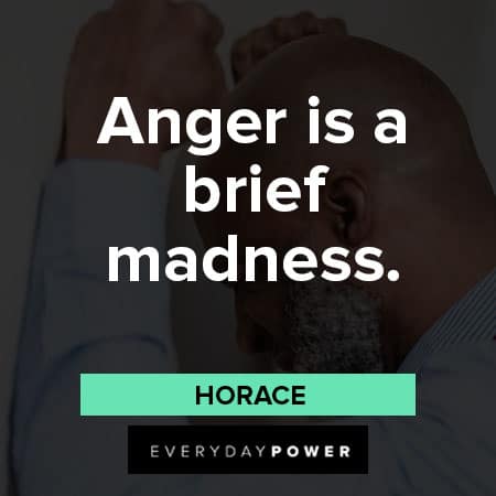 mad quotes about anger is a brief madness
