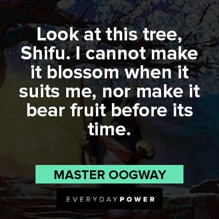 Master Oogway quotes about look at this tree
