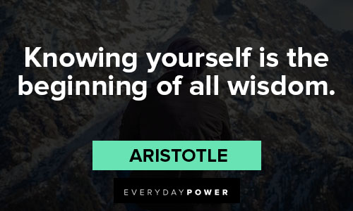 meaningful quotes knowing yourself is beginning of all wisdom