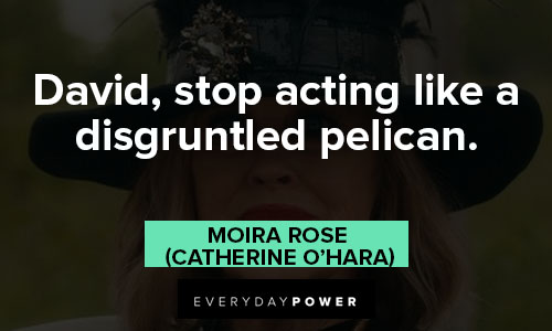 Moira Rose quotes about David, stop acting like a disgruntled pelican