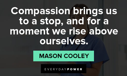 nurse quotes about compassion brings us to a stop