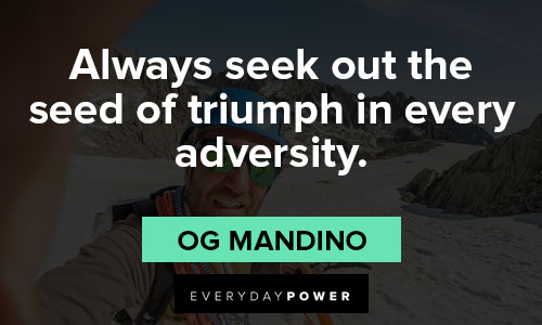 Adversity quotes that will make you stronger and wiser