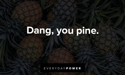 sweet Pineapple Quotes about dand, you pine