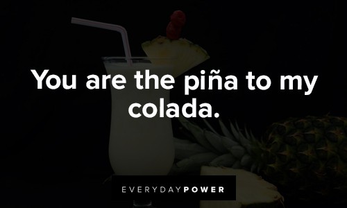 pineapple quotes about you are the pina to my colada