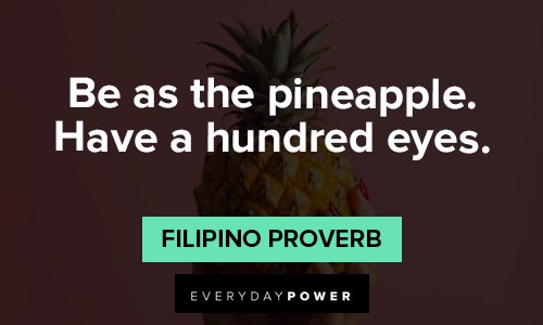 pineapple quotes about be as the pineapple have a hundred eyes