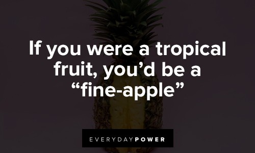 pineapple quotes about tropical fruit