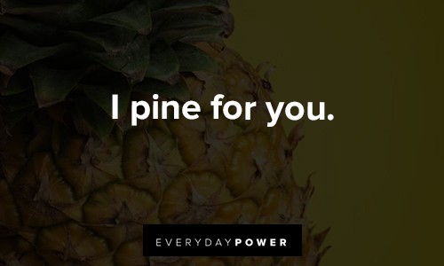 lovely Pineapple Quotes on I pine for you