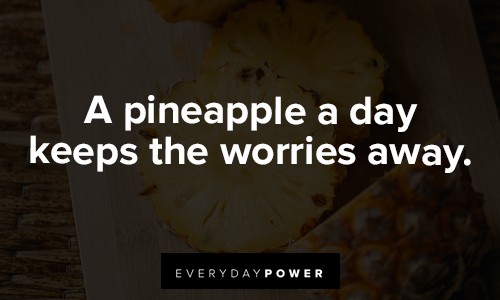 pineapple quotes about a pineapple a day keeps the worries away