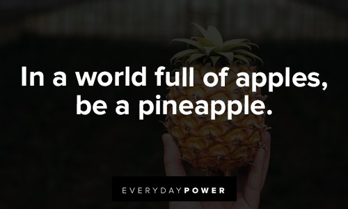 pineapple quotes about in a world full of apples be a pineapple