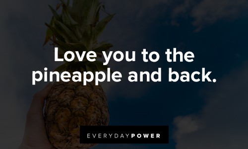 pineapple quotes about love you to the pineapple and back