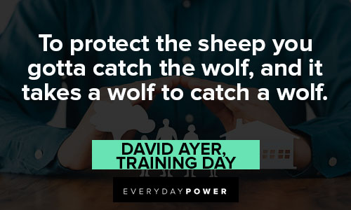 protection quotes to protect the sheep you gotta catch the wolf