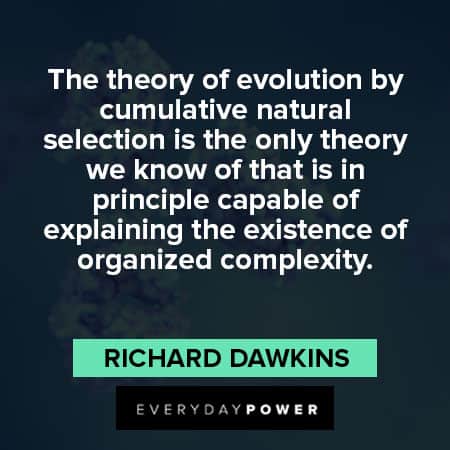 Richard Dawkins quotes about the theory of evolution