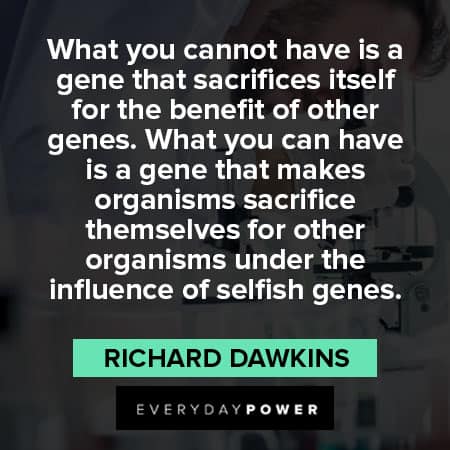 Richard Dawkins quotes that sacrifices itself