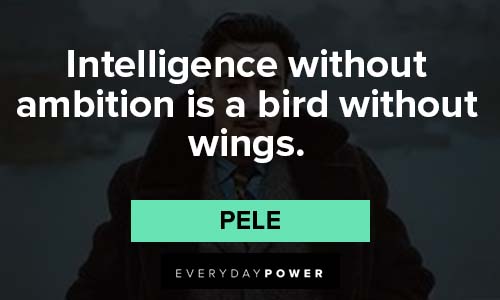 Salvador Dali quotes about intelligence without ambition is a bird without wings