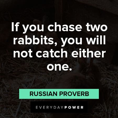 setting priority quotes about if you chase two rabbits, you will not catch either one