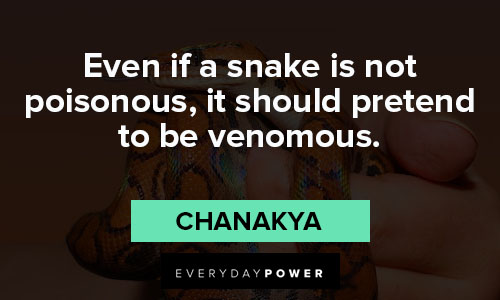 snake quotes to inspire and teach