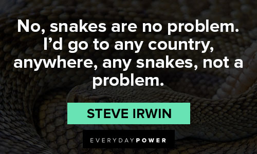 snake quotes from steve Irwin