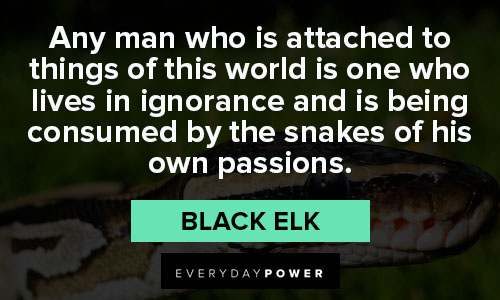 snake quotes by the snakes of his own passions