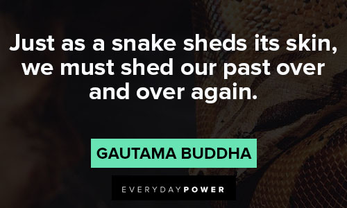 snake quotes about Just as a snake sheds its skin