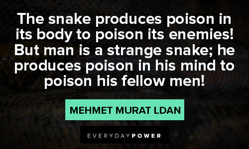 snake quotes about the snake produces poison in it's body