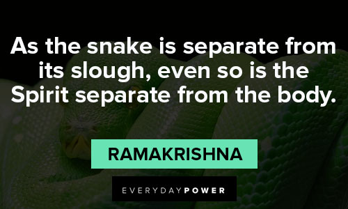 snake quotes about spirit separate from the body