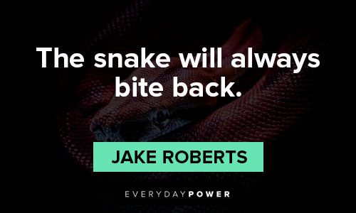 snake quotes about the snake will always bite back