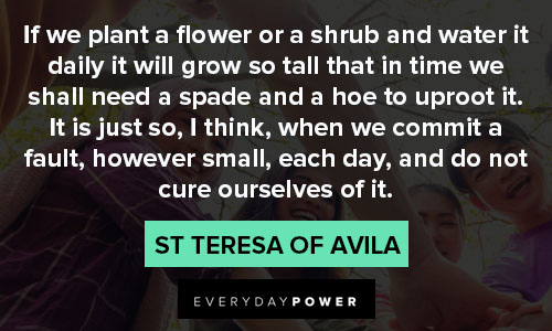 St Teresa of Avila quotes on planting flower