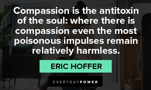 sympathy quotes on compassion