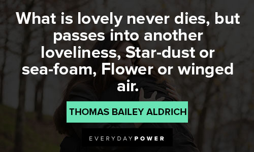 sympathy quotes from Thomas Bailey Aldrich