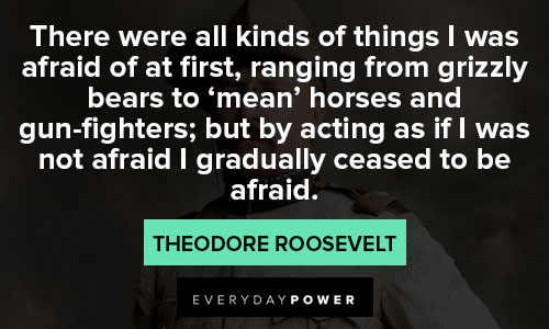 theodore roosevelt quotes about gun fighters