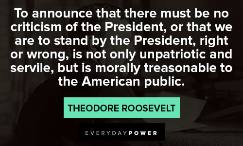 theodore roosevelt quotes to announce that there must be no criticism of the president