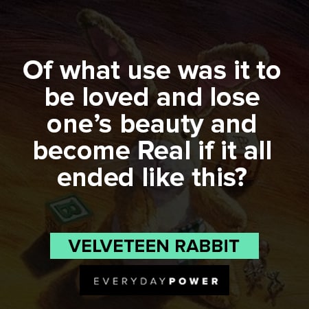 Velveteen Rabbit quotes about to be loved and lose one's beauty