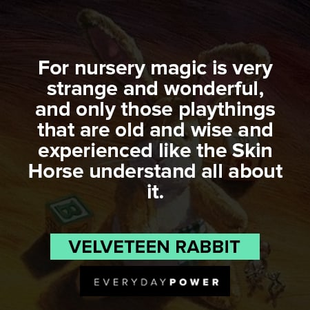 Velveteen Rabbit quotes about the skin horse