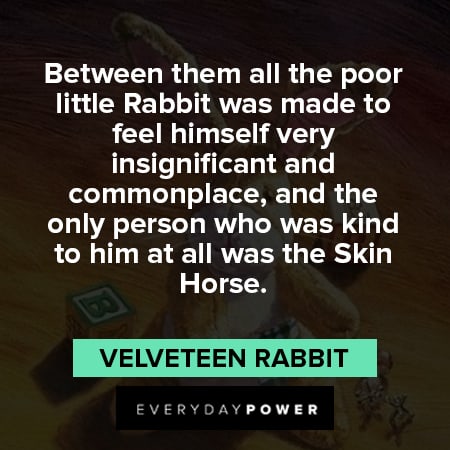 Velveteen Rabbit quotes about between them all the poor little rabbit