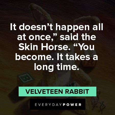 Velveteen Rabbit quotes about the skin horse