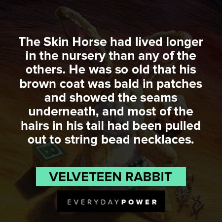 Velveteen Rabbit quotes about the skin horse had lived longer in the nursery