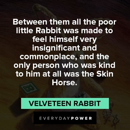 Velveteen Rabbit quotes about all was the skin horse