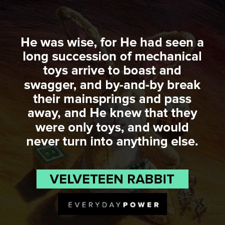 wise Velveteen Rabbit quotes 