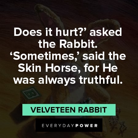 Velveteen Rabbit quotes on hurting