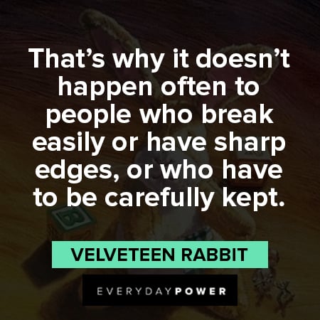 Velveteen Rabbit quotes about something happen